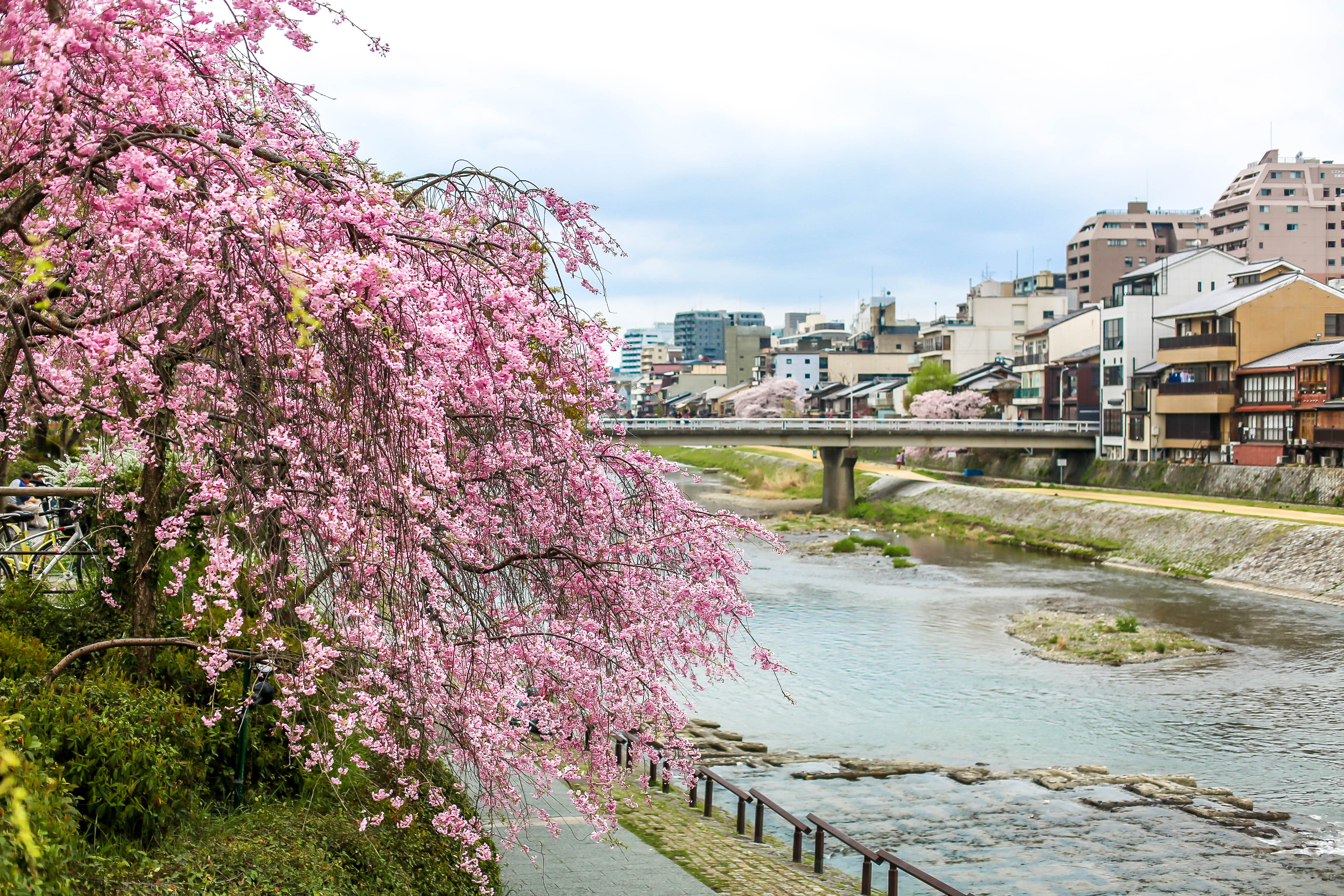 10 Days in Japan: From Tokyo to Kyoto- The PERFECT Itinerary for Japan  First Timers – Haute Khuuture Blog