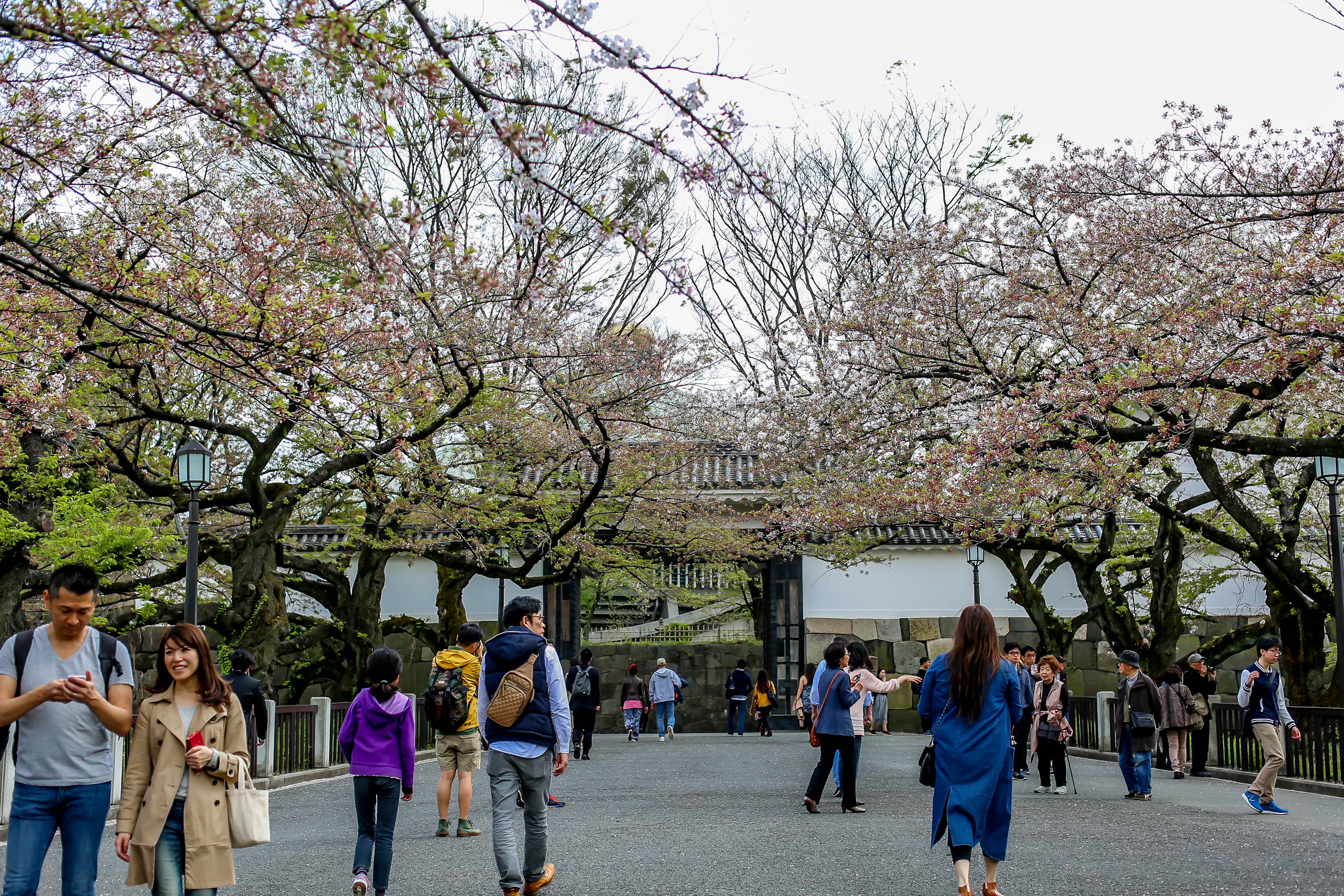 10 Days in Japan: From Tokyo to Kyoto- The PERFECT Itinerary for Japan  First Timers – Haute Khuuture Blog