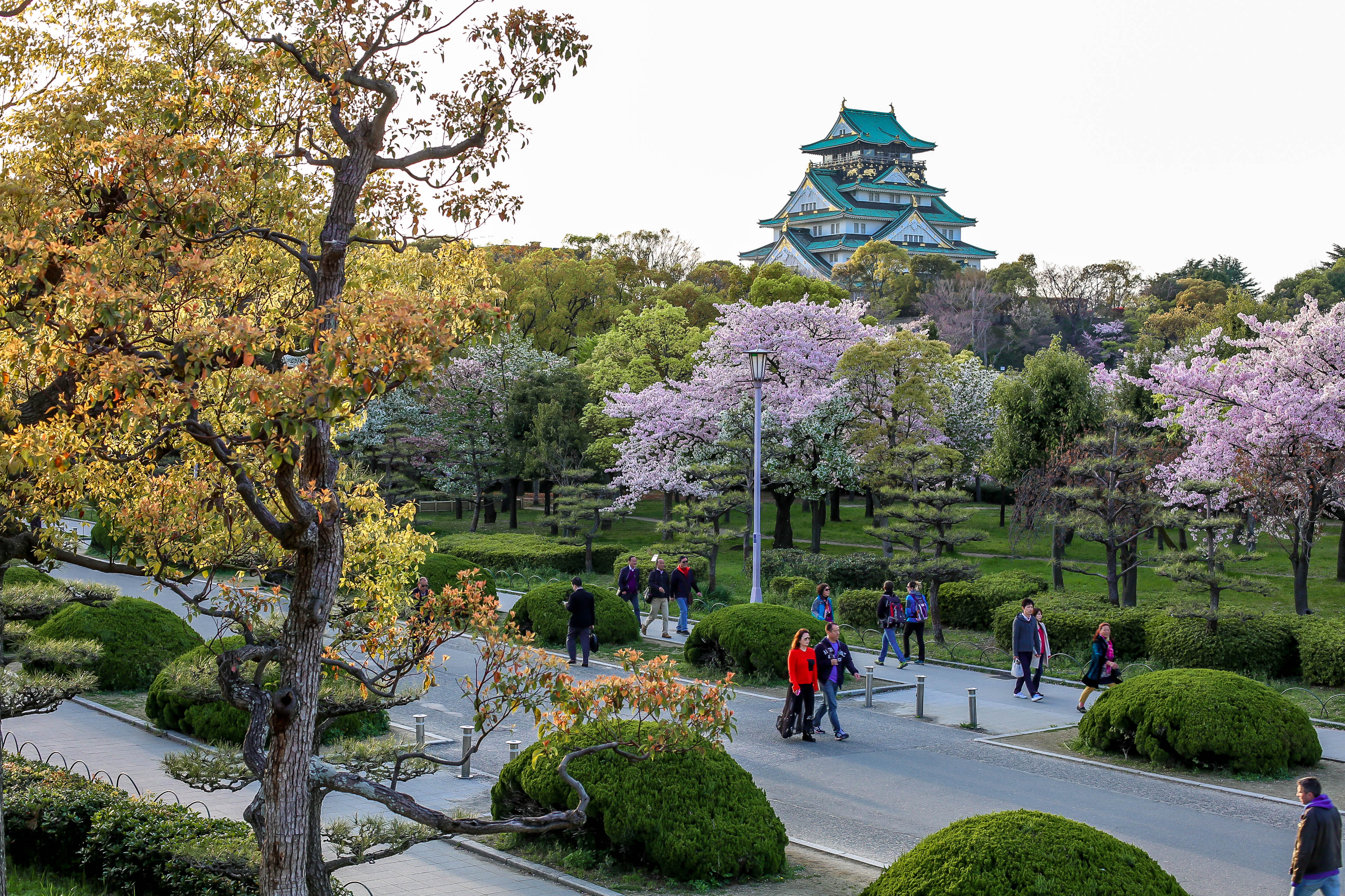 Японский Ботанический сад, Киото, Япония