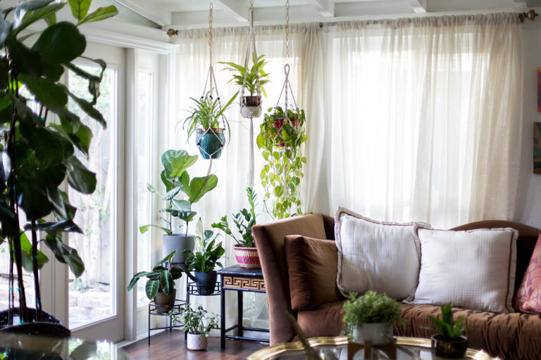 Know Your Roots | How to Care for Indoor Plants- the Basics – Haute ...